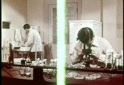 Bacteria: Friend and Foe