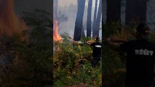 The relentless battle against France's wildfires | DW News