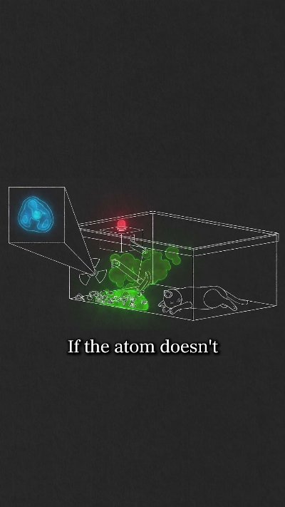 What happens to Schrödinger's cat?