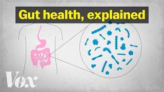 The truth about gut health
