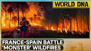 LIVE: Drones Hit Iran's Neighbours; Trump Claims Good Talks | WION World DNA