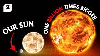 The Universe's Biggest Stars ☀️⭐️ How the Universe Works | Science Channel