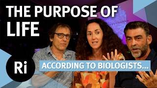 Do cells have goals? | with Melanie Challenger, Nick Lane & Philip Ball