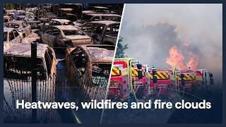 Wildfires ravage France, Italy and Spain as expert explains why blazes are so bad this summer