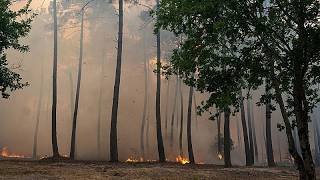 Evacuations ordered in Bordeaux suburbs as wildfires continue to ravage southern Europe