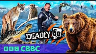 Deadly 60 | New Episodes | Watch Now on BBC iPlayer!