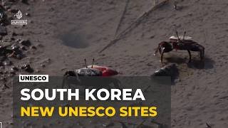 South Korea heritage sites: Four more wetland areas proposed for UNESCO list
