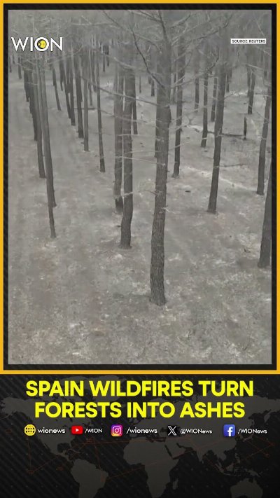 Spain Wildfire Burns 30,000 Hectares | Heatwave Sparks Massive Forest Blaze | Thousands Evacuated