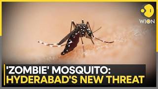 Hyderabad: Scientists Flag an Evolving Public Health Threat | WION News