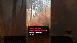 Spain battles merging wildfires as death toll rises to 14 | #ajshorts