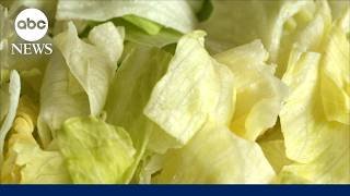 Iceberg lettuce sample from Taylor Farms tests positive for cyclosporiasis parasite