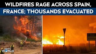 Wildfires Rage Across Eastern Europe | Thousands Evacuated In Spain & Franc As Massive Blazes Spread