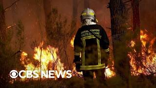American family trapped in France as wildfires rage on in Western Europe