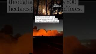 Huge wildfire breaks out in forest near Paris
