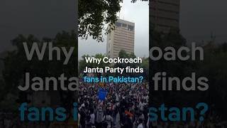 Why Cockroach Janta Party finds fans in Pakistan? | DW News