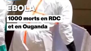 L'épidémie d'Ebola a déjà fait plus de 1000 morts en RDC et en Ouganda • FRANCE 24