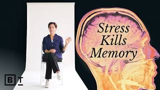 A neuroscientist’s guide to protecting your brain, in 58 minutes | Lisa Genova: Full Interview