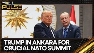 Trump, Erdogan Hold High-Stakes Talks As NATO Summit Begins | WION Pulse