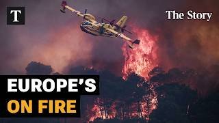 Why European Wildfires Are Spreading Faster Than Ever