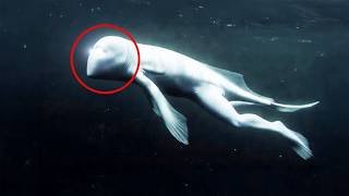 Terrifying Deep Sea Discoveries That Prove the Ocean Is a Nightmare