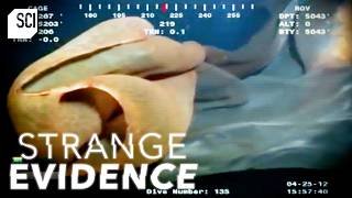 Strange Creature Found 5000 Feet Deep!? | Strange Evidence | Science Channel