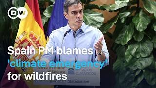 Spain and France struggle to contain blazes as the next heat wave looms | DW News
