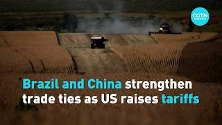 Brazil and China strengthen trade ties as US raises tariffs