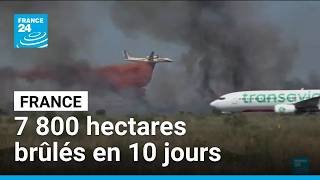 En France, 7 800 hectares brûlés en dix jours seulement • FRANCE 24