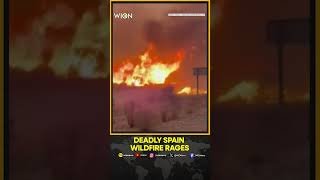 Deadly Spain Wildfire Kills 11 | Massive Blaze Rages Across Almeria Province