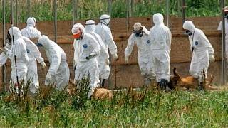 The Ghosts of Fukushima