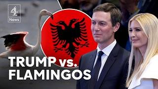 Trump and Kushner resort plan sparks ‘flamingo revolution’ in Albania