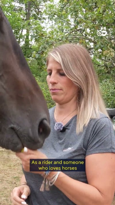 Saving the animals left behind by France's wildfires | DW News