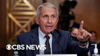 Examining the legal process behind Fauci diaries release