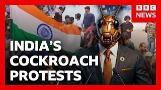 India’s ‘cockroach’ protests explained and what happens next | BBC News