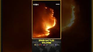 Wildfire rages overnight in Burgohondo, Spain | WION Shorts