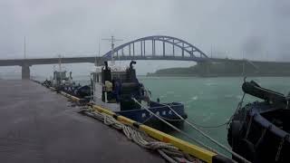 Typhoon Bavi pummels Japanese island with violent winds, heavy rain