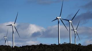 ‘More chaos’ with Labor’s green agenda as wind farms demand more government handouts