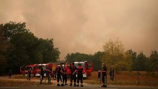 Incendie en Gironde : "Des milliers d'arbres abattus en bordure du brasier pour former une barrière"