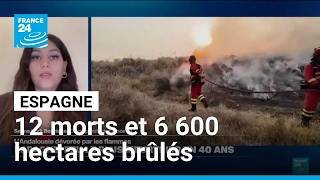 L'Andalousie dévorée par les flammes : le feu le plus meurtrier en 40 ans en Espagne • FRANCE 24