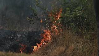 Live: Wildfires tear through southern Europe