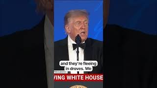 Trump roasts Gavin Newsom and Kamala Harris during WHCD