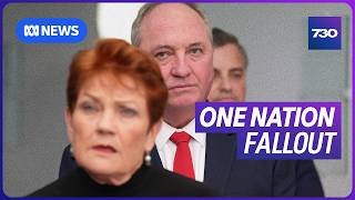 Pauline Hanson defends meeting with far-right activist Tommy Robinson | 7.30