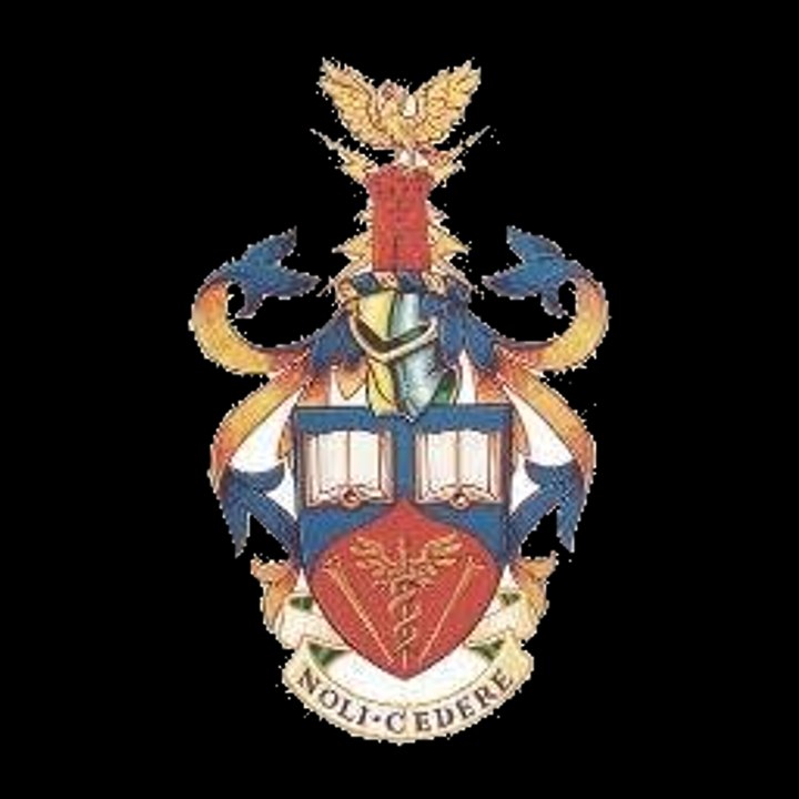 Tindle News profile picture
