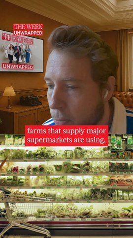 Why Zack Polanski Believes Your Groceries Are Too Cheap
