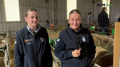 Sheep producers flock to Cowra for 40th NSW Poll Dorset Championships