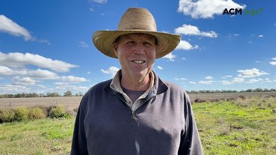 From no crop to full winter program: late rain triggers massive turnaround
