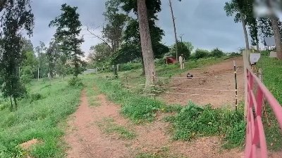 Lightning Strikes Near Horse