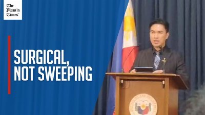 Senate spokesman says subpoena ruling was 'surgical, not sweeping'