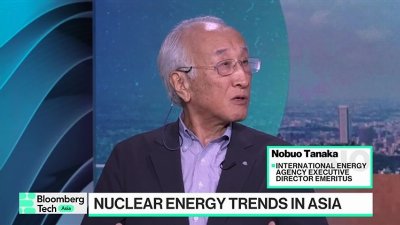 IEA Former Exec. Director on Nuclear Energy Outlook