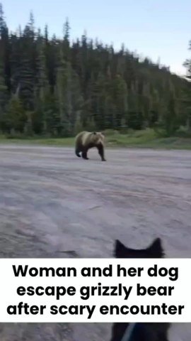 woman who was hiking with her dog escaped a scary encounter with a grizzly bear in Alberta, Canada